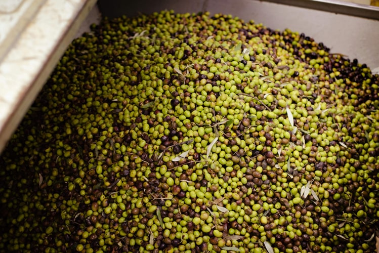 Olive residues