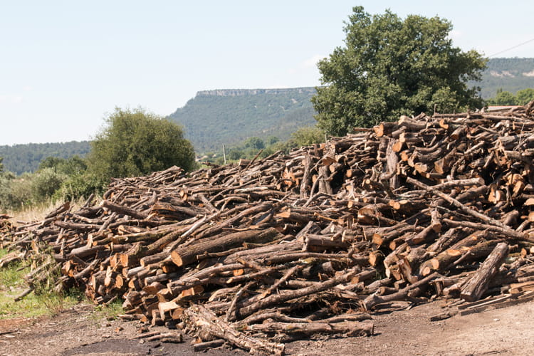 Wood waste