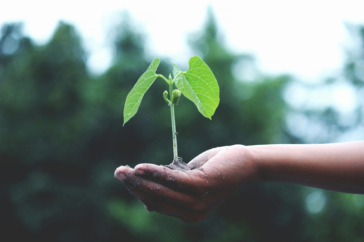 Reporting and scaling climate impact